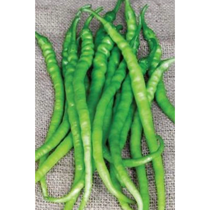 LitaeTrend Acı Kıl Biber Tohumu 10 Gr