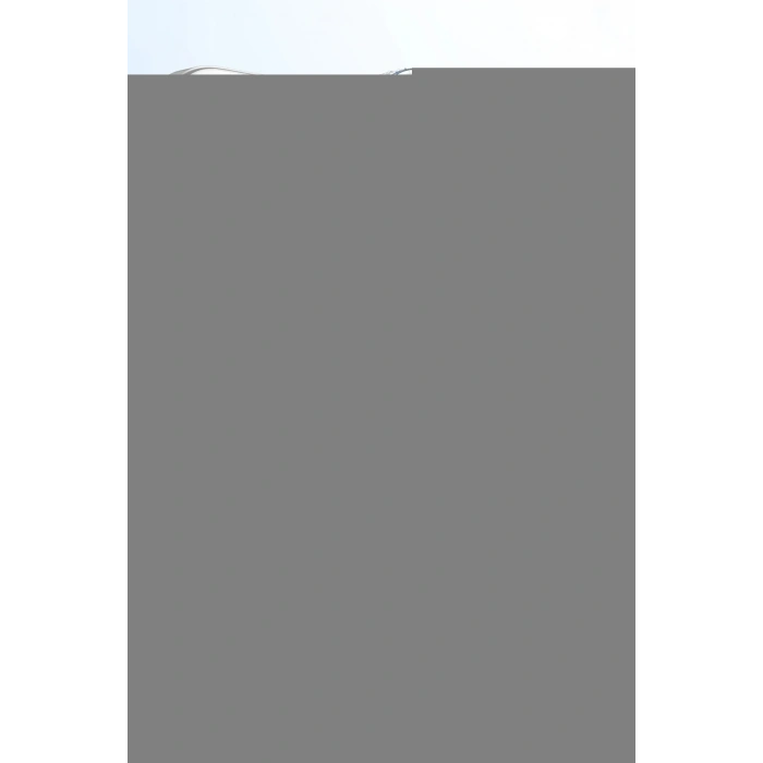 LitaeTrend Apple iPhone 14 Move Taşlı Magsafe Kapak - Gümüş