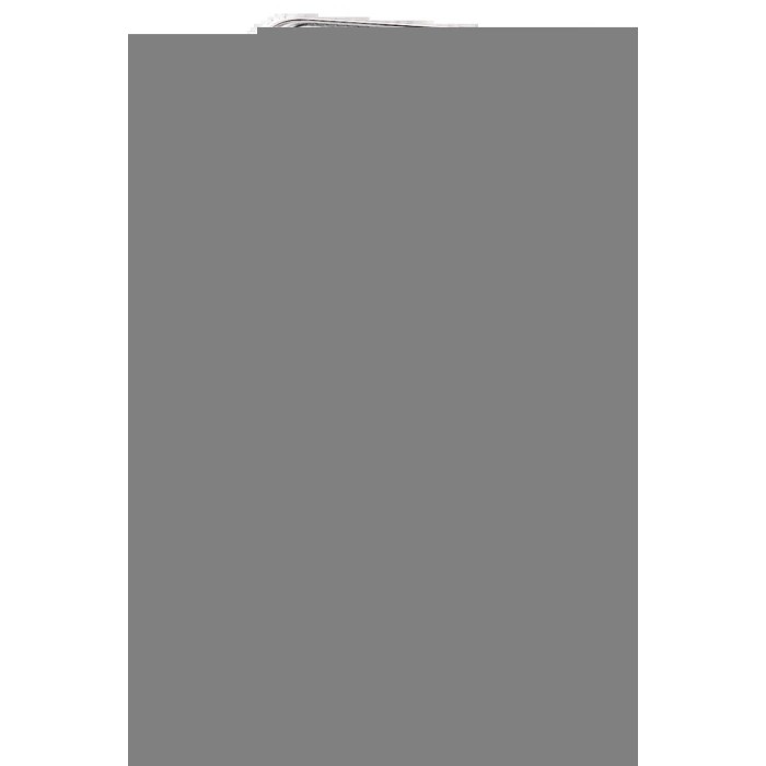 LitaeTrend Apple iPhone 16 Pro Max Move Taşlı Magsafe Kapak - Gümüş