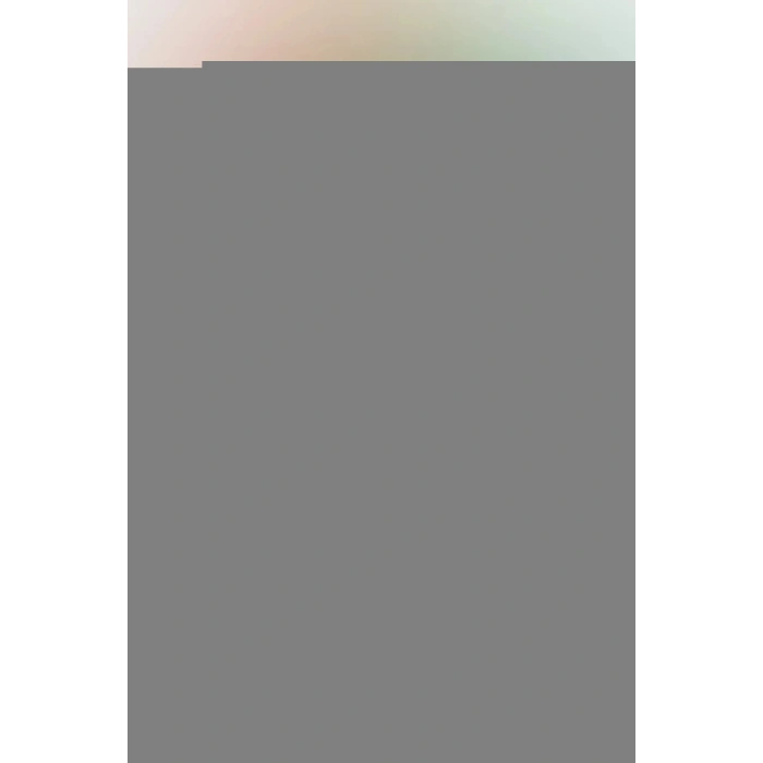 LitaeTrend Apple iPhone 16 Pro Max Velar Magsafe Kapak - Lacivert