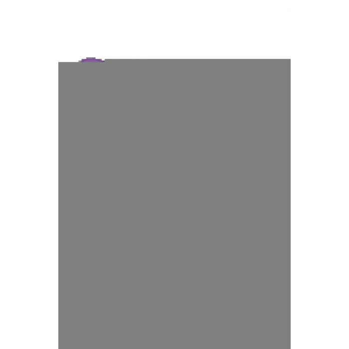 LitaeTrend Apple iPhone 17 Pro Max Jota Magsafe Kapak - Derin Mor