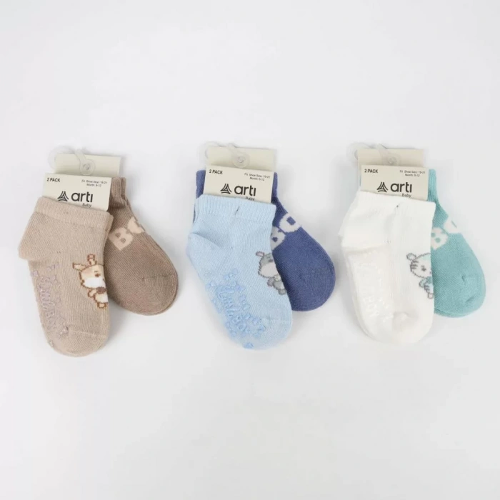 LitaeTrend Aristo 2 Li Abs Erkek Bebek Patik Çorap K20406 Asorti