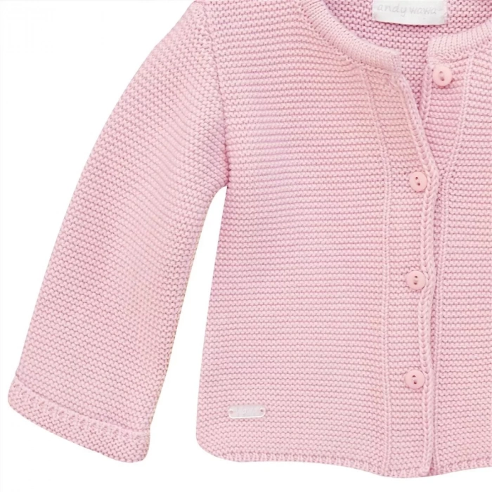 LitaeTrend Basic Bebe Ceket Pink