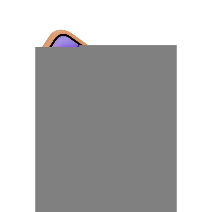 LitaeTrend iPhone 16E Jota Magsafe Kapak - Turuncu