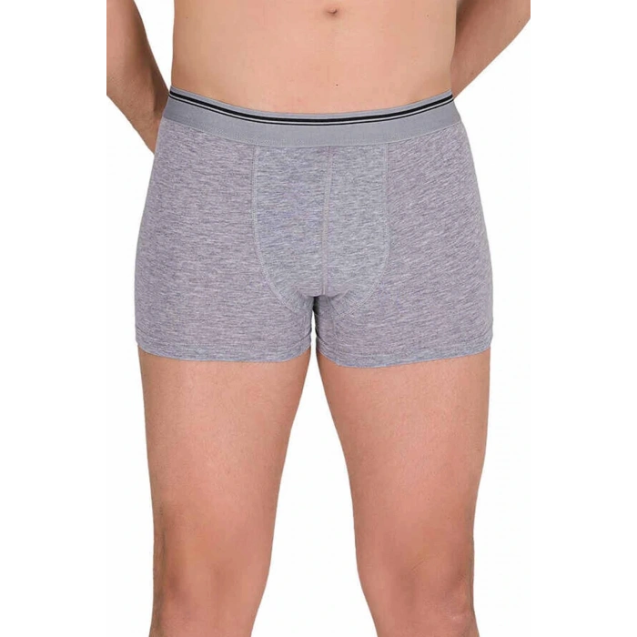 HERŞEYTREND Likralı Erkek Boxer Şort Gri 1097B