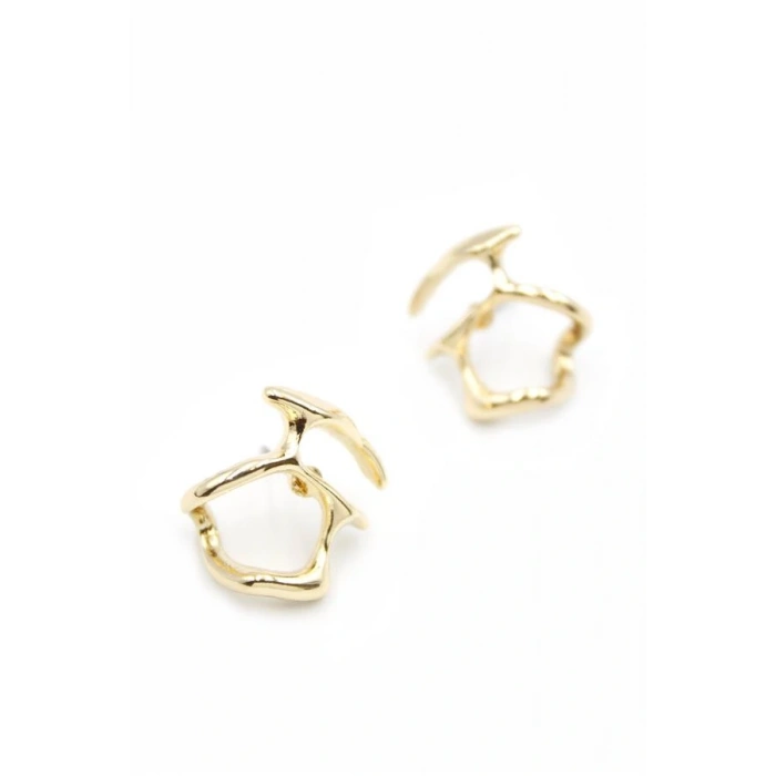 LitaeTrend Metal Küpe - Altın