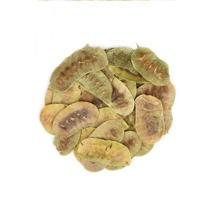 LitaeTrend Organik Taze Dökme Açlık Otu 250 Gr