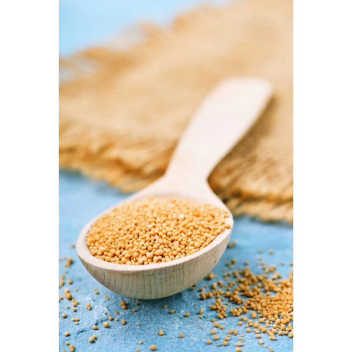 LitaeTrend Sarı Hardal Tohumu Deluxe Seri Organik Lezzetli 300 Gr