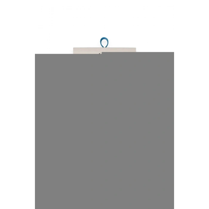 LitaeTrend Tesla Model Y Magic 5D Cam - Siyah