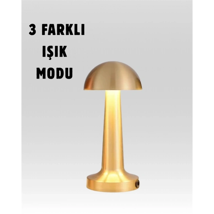 HERŞEYTREND USB Şarjlı Dokunmatik LED Masa Lambası – 3 Renk Modu & Dimmer