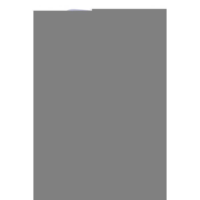 LitaeTrend Xiaomi Pocophone X3 Kılıf Palm Buzlu Kamera Sürgülü Silikon - Lila