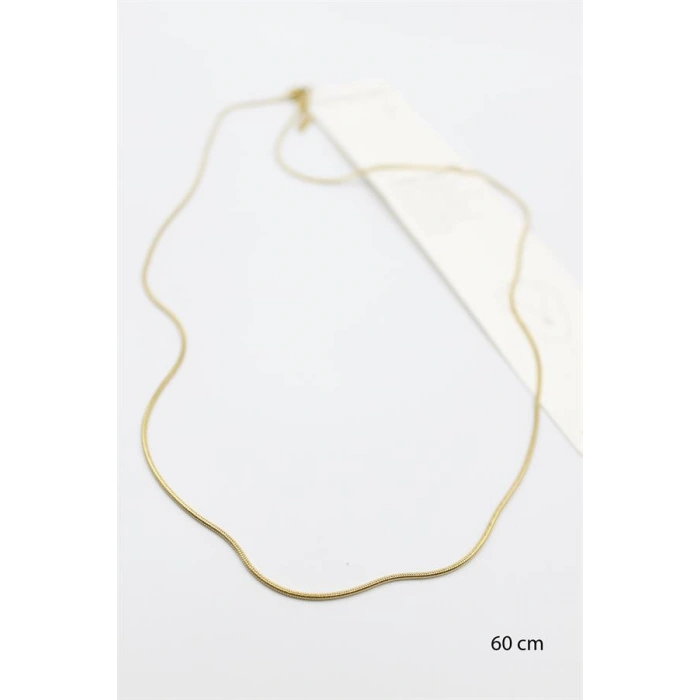 LitaeTrend Yılan Zincir Kolye - 60cm - Altın