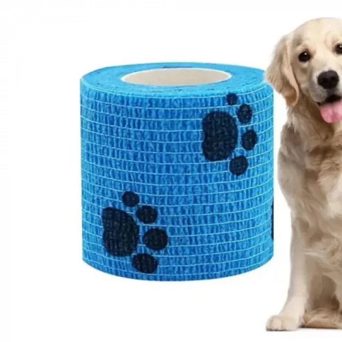 HERŞEYTREND Pati Desenli Kendinden Yapışkanlı Bandajı