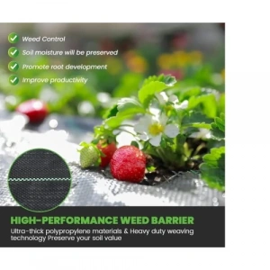 Litae Trend Yabani Ot Bariyer Matı