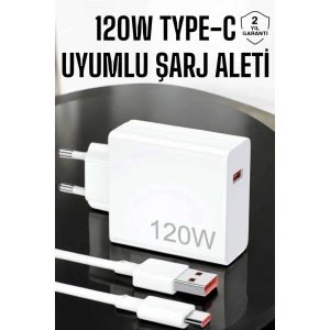 LitaeTrend 120W Şarj Aleti Type-C Uyumlu Turbo Şarj Aleti