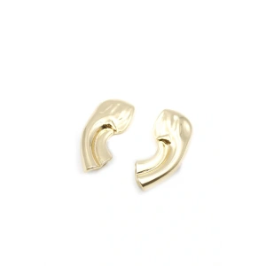 LitaeTrend Kıkırdak Küpe - Altın