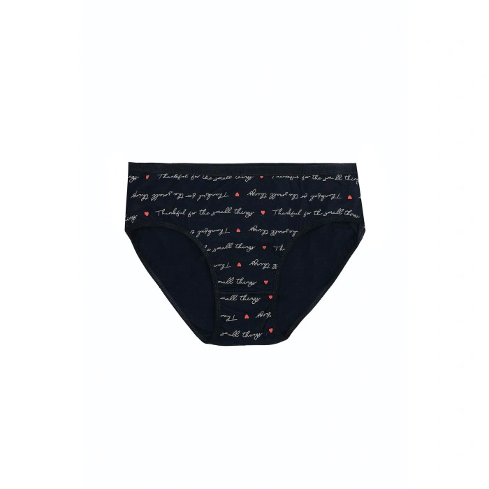 Litae Büyük Beden Pamuklu Likralı Karışık Renkli 3lü Külot