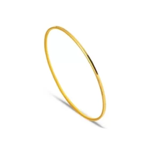 10 GRAM OLUKLU AJDA 22 AYAR BİLEZİK