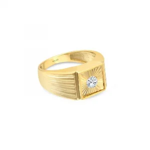 Tek Taşlı Şövalye 14 Ayar Erkek Yüzük