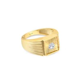 Tek Taşlı Şövalye 14 Ayar Erkek Yüzük