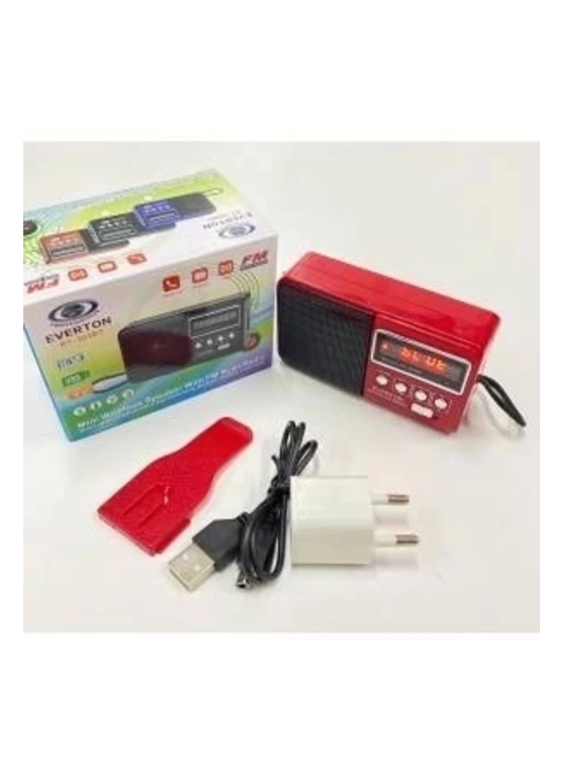RT303 FM/AM/USB MicroSD Girişli Şarzlı El Radyosu