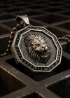 Özel Yüzey Kaplamalı Kenarları Taşlı Aslan Madalyon Kolye