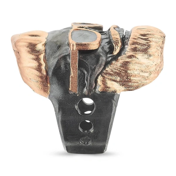 Kurukafa Gümüş Yüzük