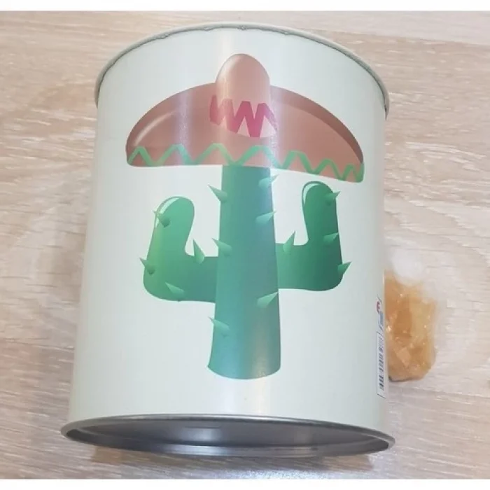 Pi İthalat Kumbara - Kaktüs Tasarımlı Büyük Boy