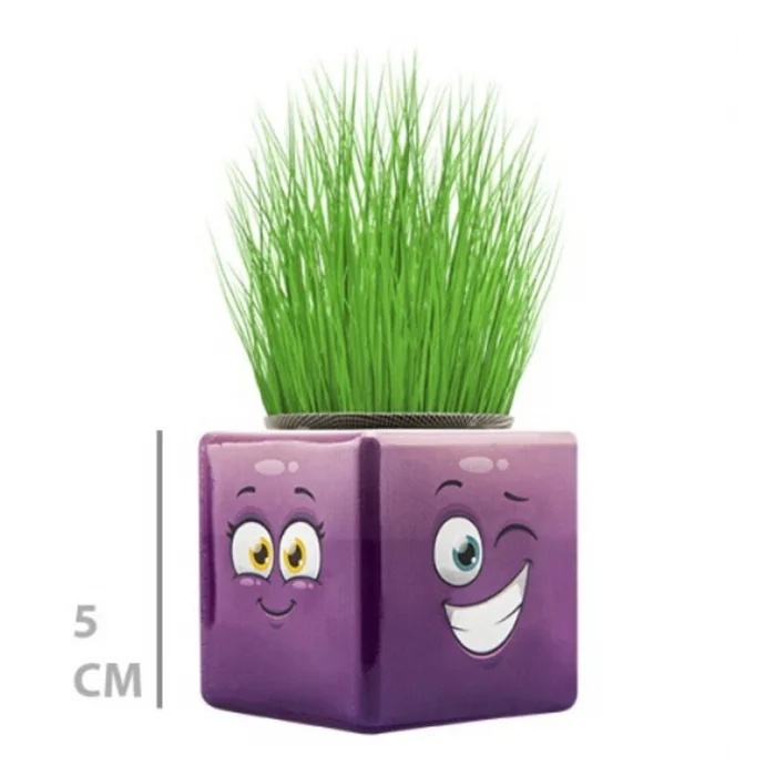 Çim Adam Mini Küp Emoji Figürlü 1 Adet