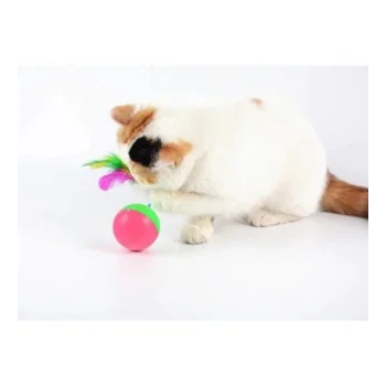 Gentilbay Kedi Fare Hacıyatmaz Oyunu