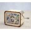 One Piece Müzik Kutusu