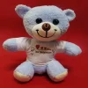 Seni Seviyorum Tişörtlü Peluş Ayıcık