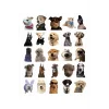 Sevimli Köpek Çıkartmaları Laptop Notebook Tablet Sticker Seti