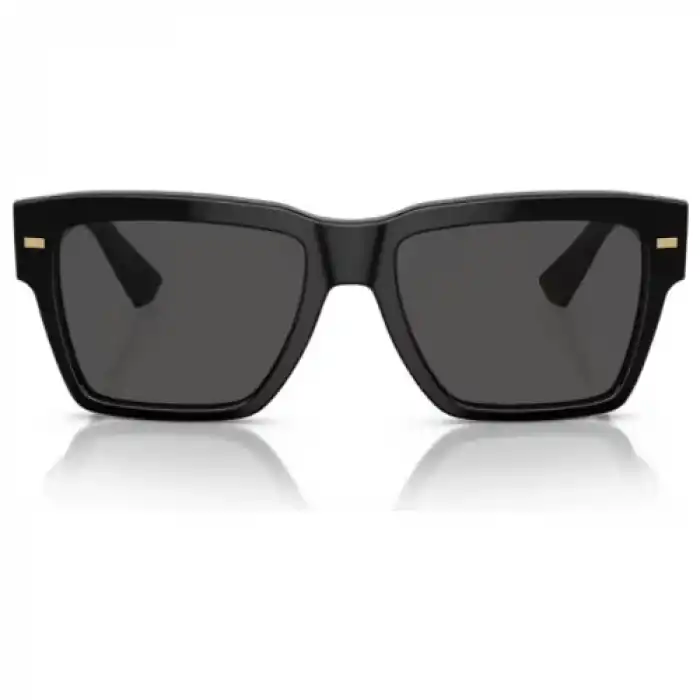 Dolce & Gabbana Erkek Güneş Gözlüğü 4431 501/87 55-18-145