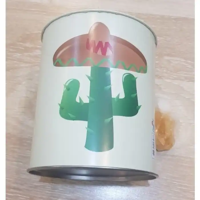 Pi İthalat Kumbara - Kaktüs Tasarımlı Büyük Boy