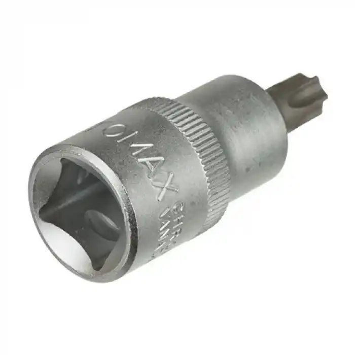 Lokmalı (Star) Torx Bits Uç - T40 (10 Adet)