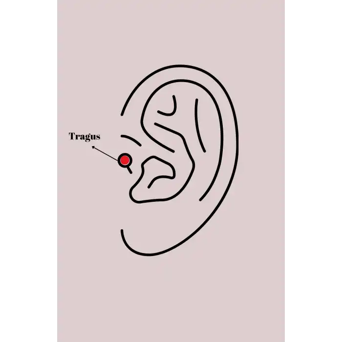 316L Çelik Gümüş Renk Zirkon Taşlı Kelebek Model Tragus Piercing - TJ-PR1327