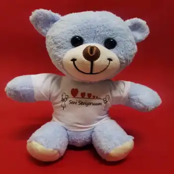 Seni Seviyorum Tişörtlü Peluş Ayıcık