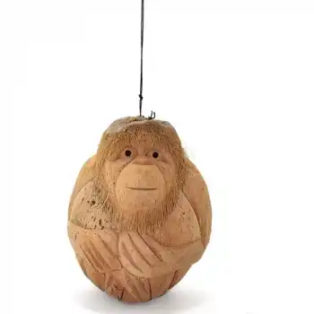 Coconat Maymun Büstü 3marakas-7