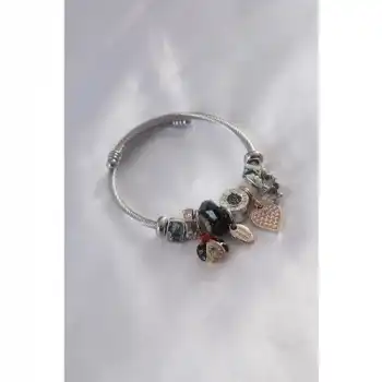 Colezium CLZ943  Çelik Charm Model Uğur Böceği Figür Kalp Detay Zirkon Taşlı Kadın Bileklik