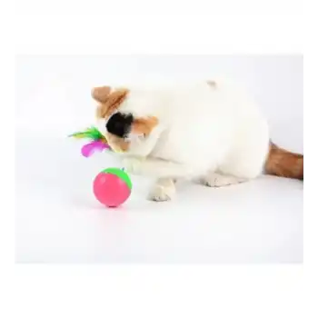 Gentilbay Kedi Fare Hacıyatmaz Oyunu