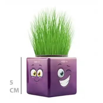 Çim Adam Mini Küp Emoji Figürlü 1 Adet