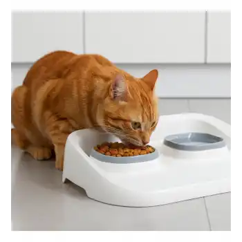 Mikopet Gri 2si 1 Arada Mama Ve Su Kabı