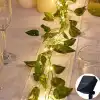 Güneş Enerjili Sarmaşık Led Dekor 5 Metre