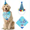 Köpekler İçin Doğum Günü Partisi Seti