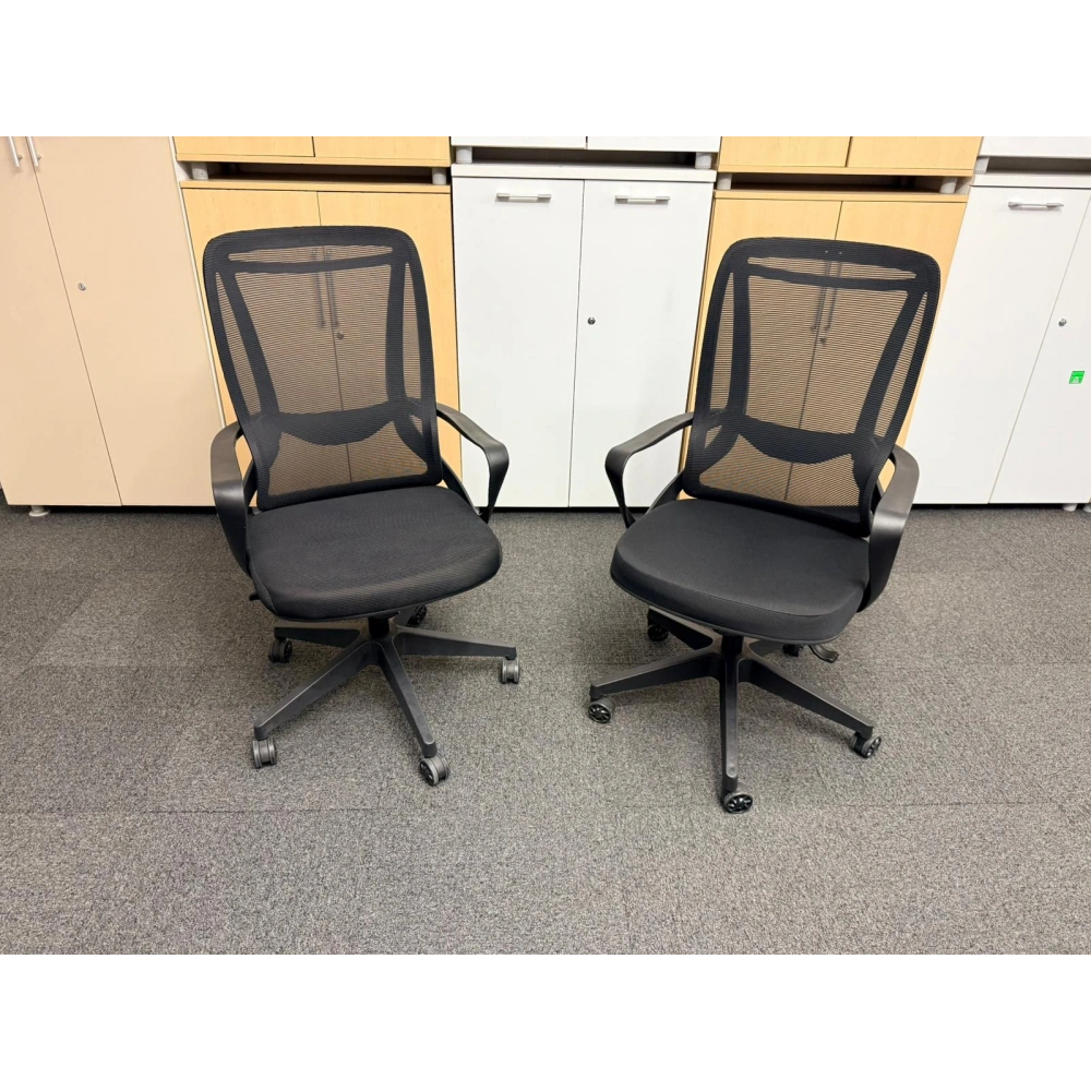 Fileli Bel Destekli Yönetici Çalışma Koltuğu