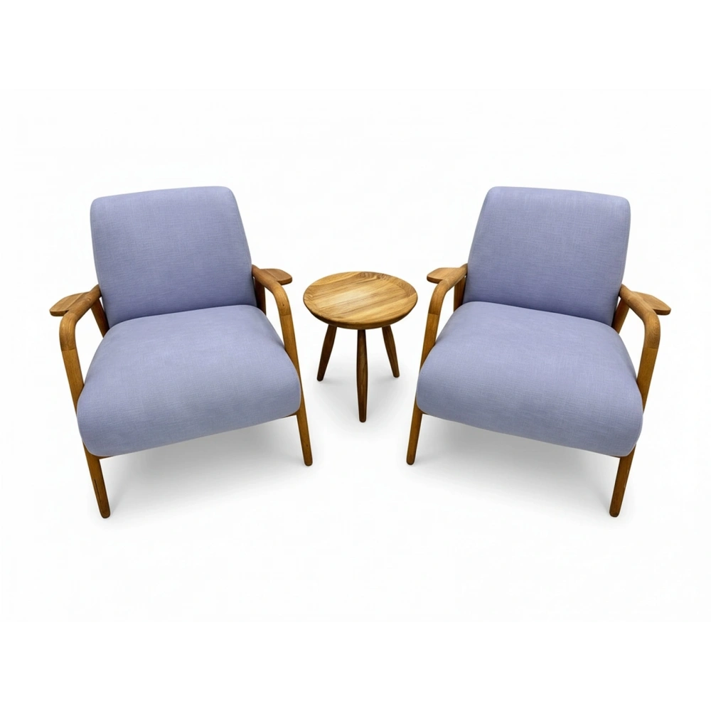 Hamm Design Masif Lila Berjer Bekleme Koltuğu