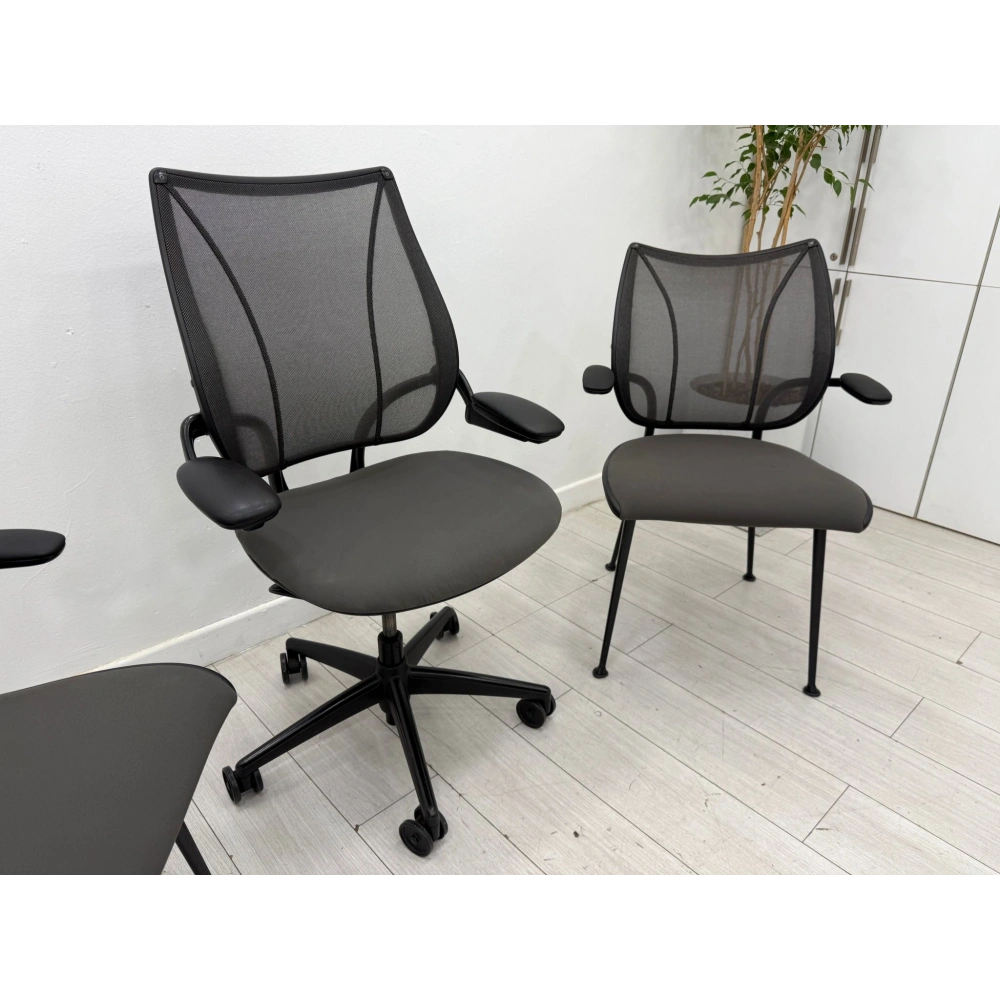 Humanscale Ergonomik Çalışma Koltuğu Takımı