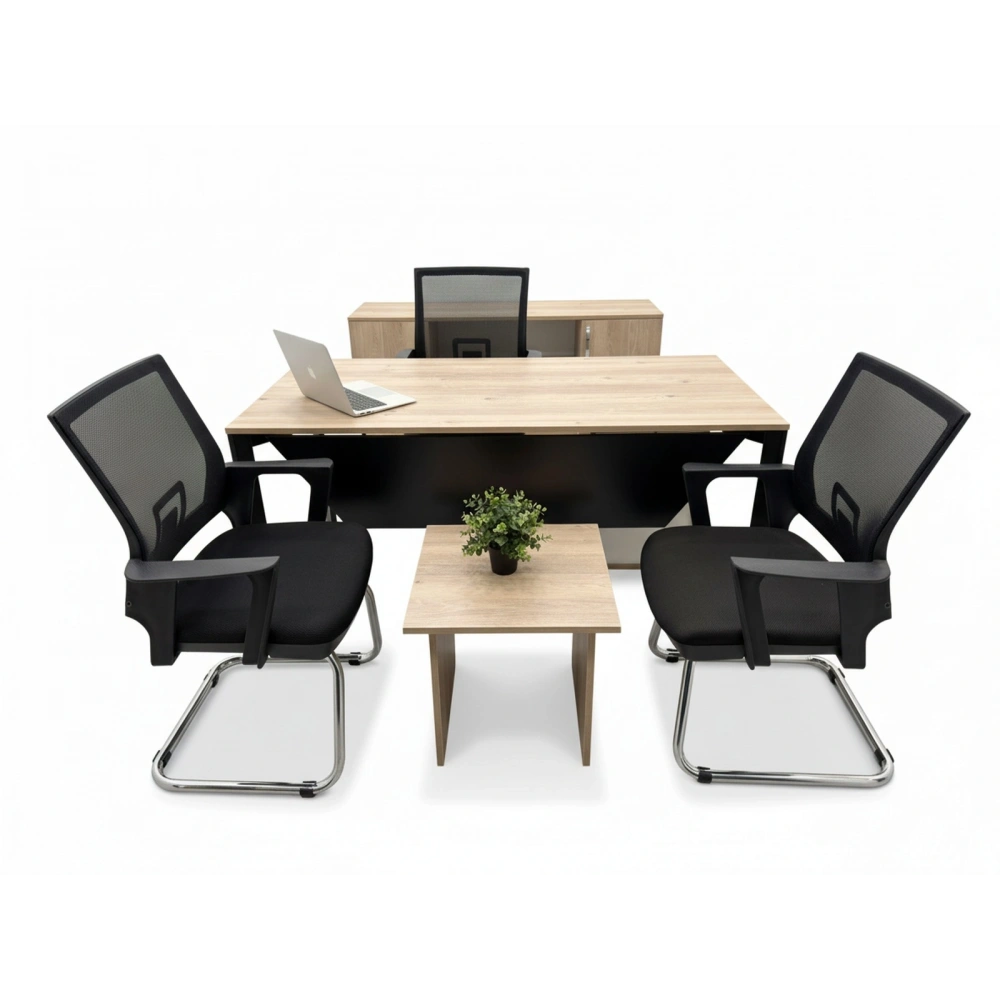 Karya Ofis Çalışma Masası Takımı