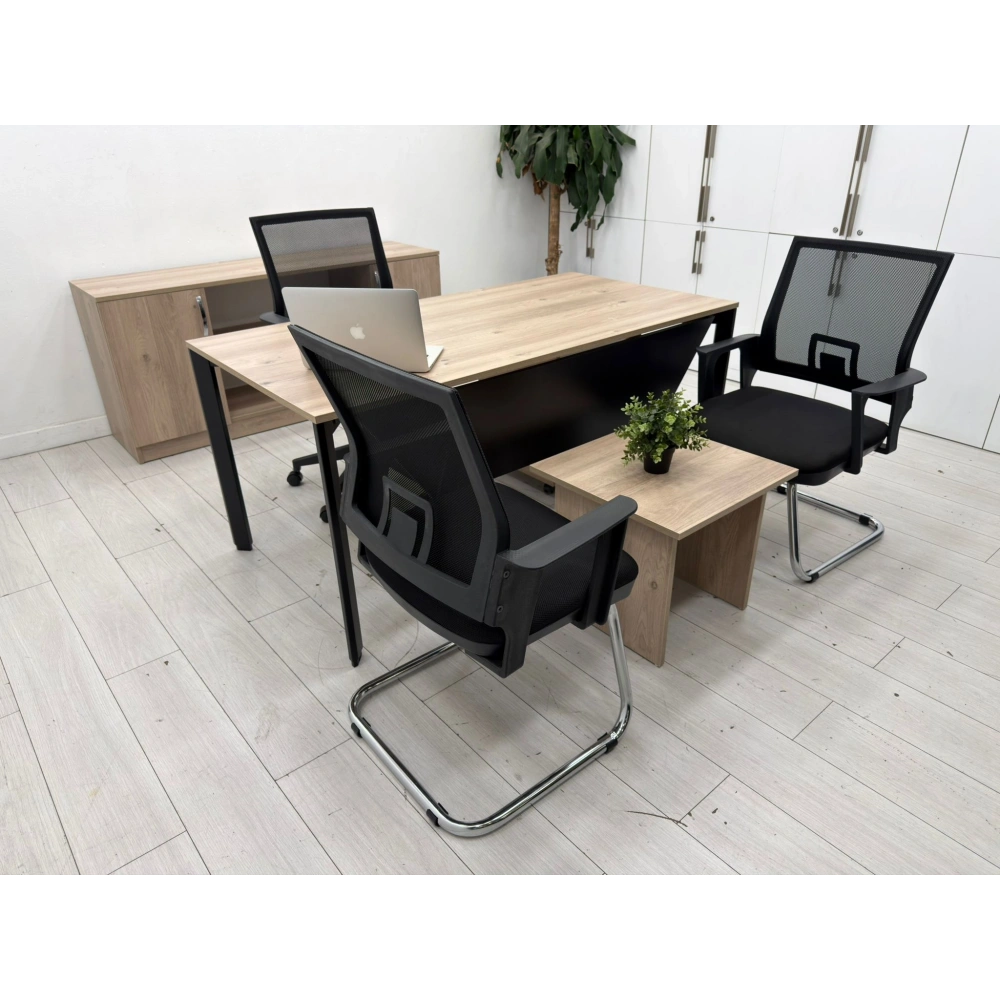 Karya Ofis Çalışma Masası Takımı